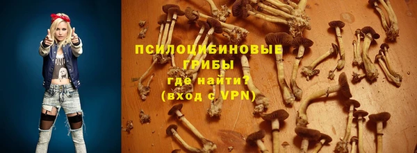 ГАЛЛЮЦИНОГЕННЫЕ ГРИБЫ Балахна