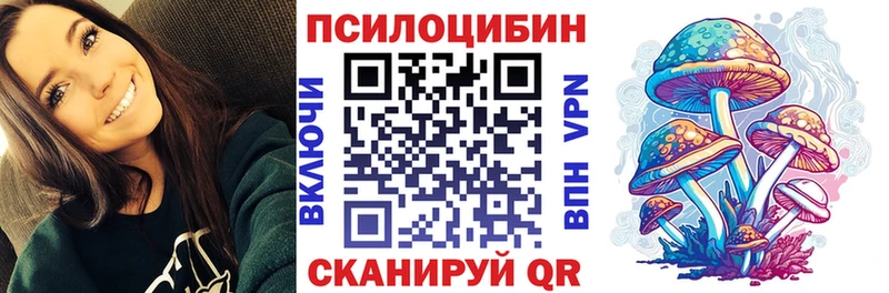 Галлюциногенные грибы Psilocybine cubensis  Волгоград 